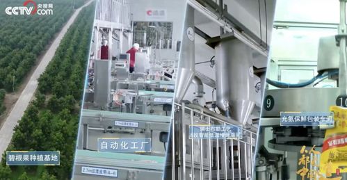 洽洽食品2022年三季度凈利潤達6.27億元，同比增長5.45%，技術服務成新增長點